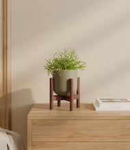 Load image into Gallery viewer, Sage Green stand:walnut