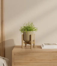 Load image into Gallery viewer, Sage Green stand:bamboo