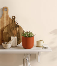 Load image into Gallery viewer, Earth Red