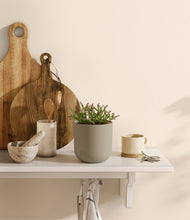 Load image into Gallery viewer, Sage Green