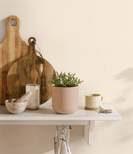 Load image into Gallery viewer, Sandy Pink