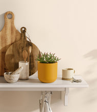 Load image into Gallery viewer, Sunset Orange