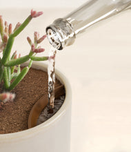 Load image into Gallery viewer, Snowdrift White stand:all