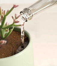 Load image into Gallery viewer, Turquoise stand:all