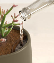 Load image into Gallery viewer, Olive stand:all