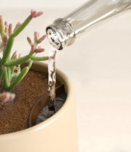 Load image into Gallery viewer, Almond Green stand:all