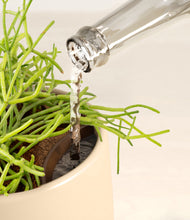 Load image into Gallery viewer, Almond Green stand:all