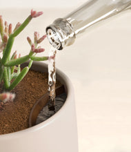 Load image into Gallery viewer, Eternal Gray stand:all