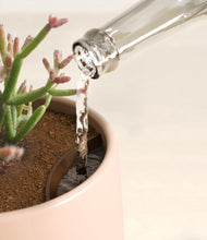 Load image into Gallery viewer, Gentle Pink stand:all