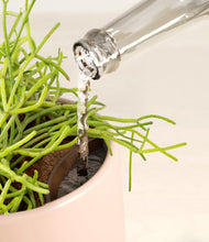 Load image into Gallery viewer, Gentle Pink stand:all