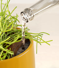 Load image into Gallery viewer, Mustard stand:all