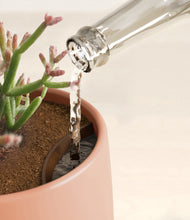 Load image into Gallery viewer, Calm Rose stand:all