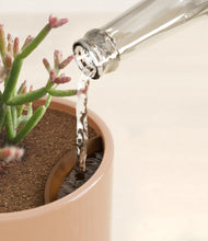 Load image into Gallery viewer, Glossy Pink stand:all