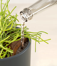 Load image into Gallery viewer, Iron Gray stand:all