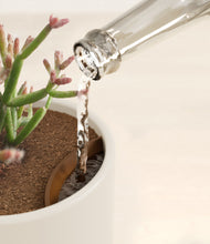 Load image into Gallery viewer, Cotton White stand:all