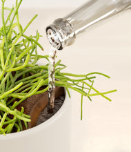 Load image into Gallery viewer, Cotton White stand:all