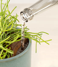 Load image into Gallery viewer, Reactive Aqua stand:all