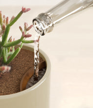 Load image into Gallery viewer, Sage Green stand:all