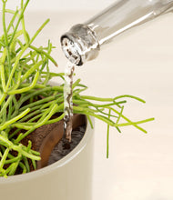 Load image into Gallery viewer, Sage Green stand:all