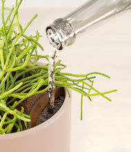 Load image into Gallery viewer, Sandy Pink stand:all