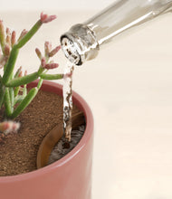 Load image into Gallery viewer, Hammered Rose Pink stand:all