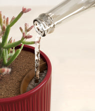 Load image into Gallery viewer, Striped Cherry Red stand:all