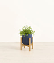 Load image into Gallery viewer, Deep Navy stand:bamboo