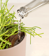 Load image into Gallery viewer, Sandy Pink stand:all