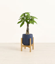 Load image into Gallery viewer, Deep Navy stand:bamboo