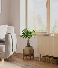 Load image into Gallery viewer, Olive stand:walnut