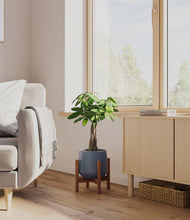 Load image into Gallery viewer, Deep Navy stand:walnut