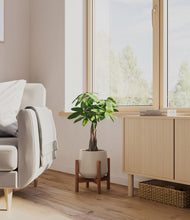 Load image into Gallery viewer, Eternal Gray stand:walnut