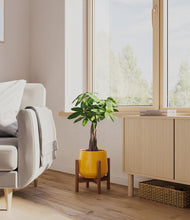 Load image into Gallery viewer, Mustard stand:walnut