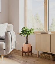 Load image into Gallery viewer, Calm Rose stand:walnut