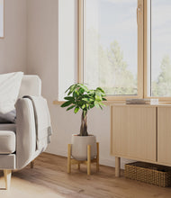 Load image into Gallery viewer, Eternal Gray stand:bamboo