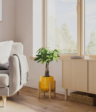 Load image into Gallery viewer, Mustard stand:bamboo