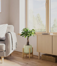 Load image into Gallery viewer, Turquoise stand:bamboo