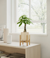 Load image into Gallery viewer, Almond Green stand:bamboo