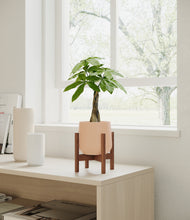 Load image into Gallery viewer, Gentle Pink stand:walnut