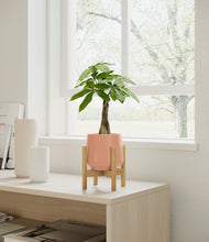 Load image into Gallery viewer, Calm Rose stand:bamboo