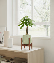 Load image into Gallery viewer, Turquoise stand:walnut