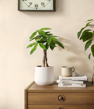 Load image into Gallery viewer, White