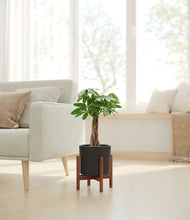 Load image into Gallery viewer, Black stand:walnut