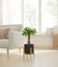 Load image into Gallery viewer, Black stand:bamboo