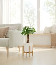 Load image into Gallery viewer, White stand:bamboo