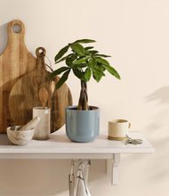 Load image into Gallery viewer, Misty Blue