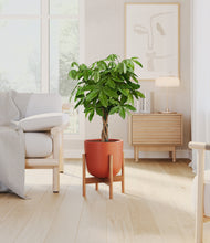 Load image into Gallery viewer, Earth Red stand:bamboo