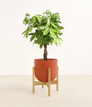 Load image into Gallery viewer, Earth Red stand:bamboo