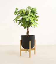 Load image into Gallery viewer, Stone Black stand:bamboo