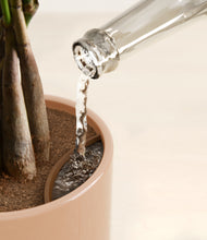 Load image into Gallery viewer, Peach Blossom stand:all